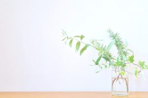 個人とチームのエンパワメントに繋がる「MINDFULNESS」